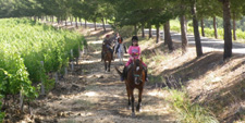 Italy-Sicily-Sicily Explorer Ride